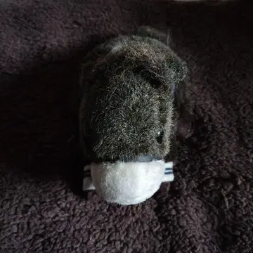 말 봉제 인형 하네스 포함 약 6인치