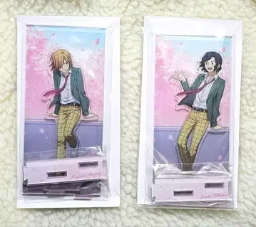 겁쟁이 페달 테시마 아오야기 사쿠라카제 아크릴 스탠드