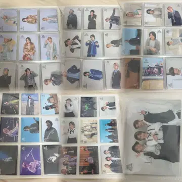 미세스 그린 애플 미세스 포토 카드 트레이딩 카드 젠진 컴플리트 컴프