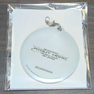 SEVENTEEN 승관 커버 키링