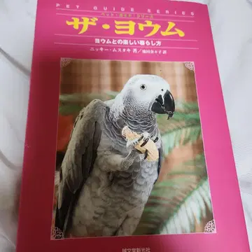 더 요움 : 요움과 함께하는 즐거운 생활 방식