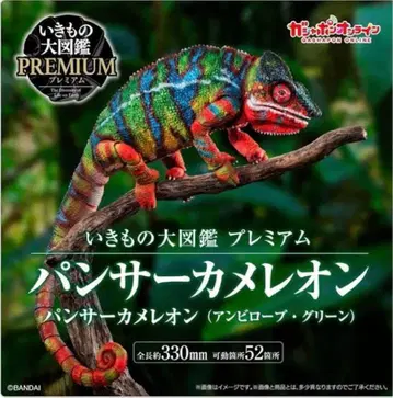 생물대도감 프리미엄 팬서 카멜레온 (암비 로브 그린) 미사용품