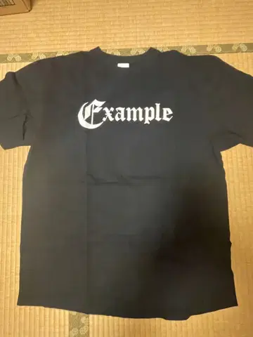 Example 로고 프린트 T 셔츠 블랙