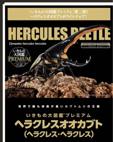 생물대도감 프리미엄 헤라클레스 장수풍뎅이 (헤라클레스 헤라클레스)