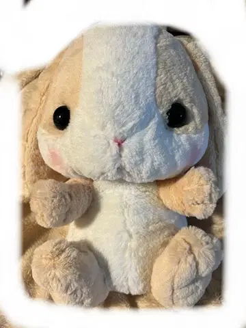 토끼 봉제 인형 포테우사 롯삐