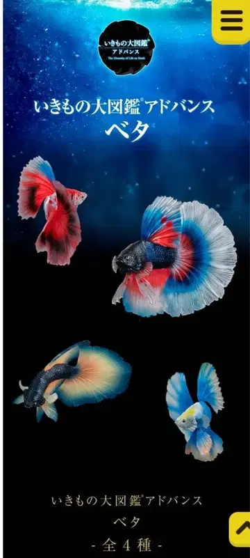 생물대도감 어드밴스 베타 4종 세트