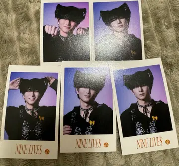 초특급 NINE LIVES 미니 사진 하루 컴프