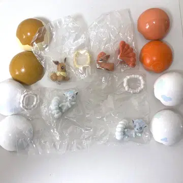 포켓몬 포켓몬스터 포켓몬과 알의 포트 알로라 로사 푸 리리에