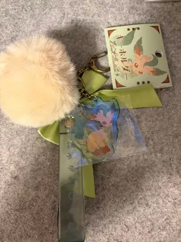 키링 Eevee Collection 컴플리트 세트 전 9종 세트