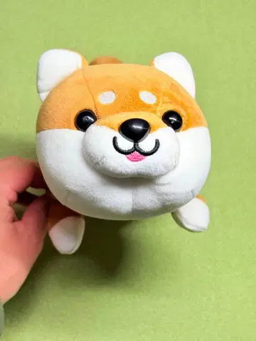 시바견 봉제 인형