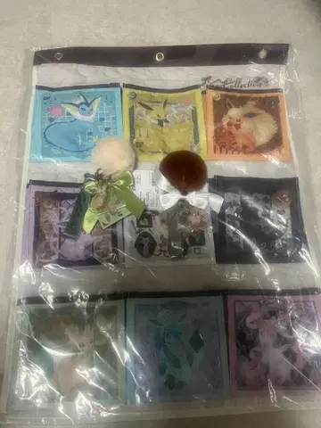 월 포켓 Eevee Collection 키링 2개 세트