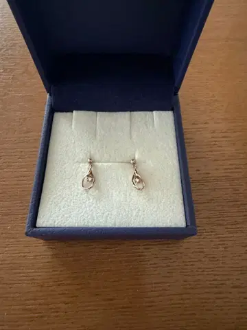 반돔 아오야마 다이아몬드 드롭 귀걸이