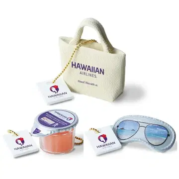 하와이안 항공 미니어처 컬렉션 정리