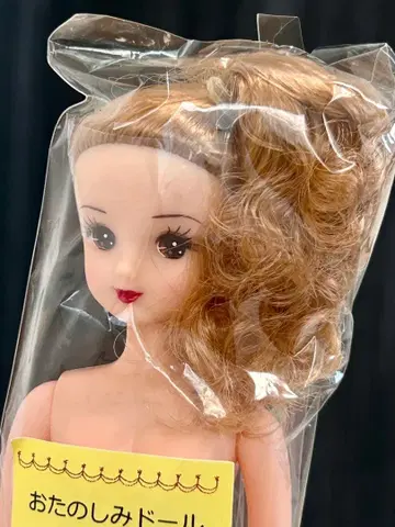 리카짱 캐슬 즐거운 인형 아키짱 포니테일