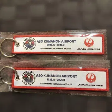 쿠마몬 에어포트 아마쿠사 키링 쿠마몬 2개 레어