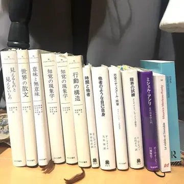 불문 현상학 서적 묶음 판매 메를로-퐁티 레비나스 리쾨르 후설