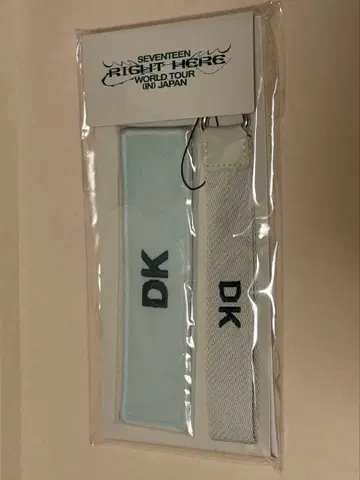 세븐틴 seventeen right here 와펜 배지 도겸