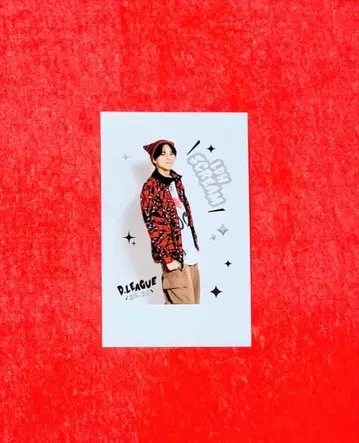 D리그 25-26 LDH SCREAM 쇼타로 폴라로이드풍 트레이딩 카드