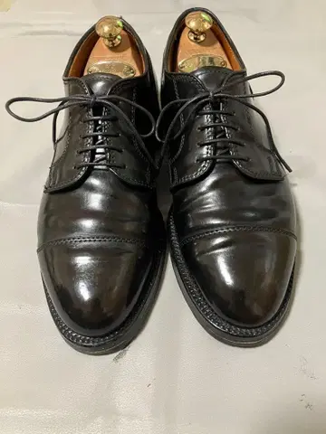 Alden 알든 코도반 블랙 6D 외날개 캡토