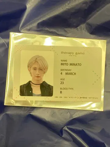 세라피 게임 ID풍 포토 카드 미토 미나토