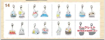 스누피 와() 디자인 시리즈 마스코트 참 16종