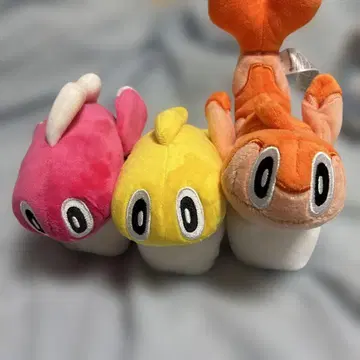 샤리타츠 봉제 인형 묶음 판매