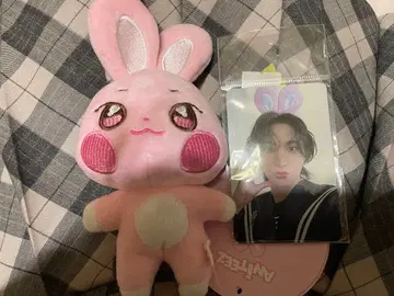 [택 포함] 봉제 인형 & 포토 카드 세트 성화