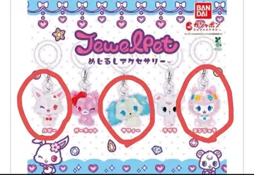 주얼펫 메지루시 액세서리