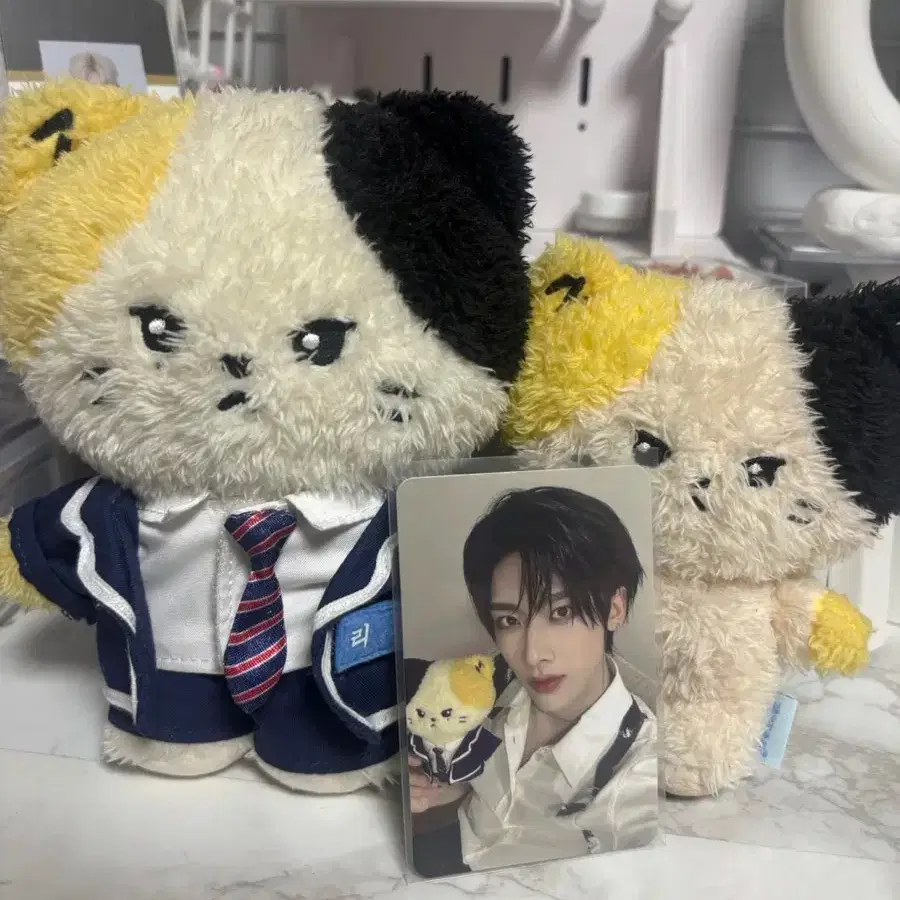 ZEROBASEONE line friends Gyunini Zeroni zb1 Kim GyuvinPoca on