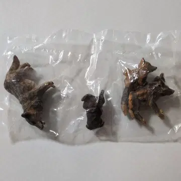 반다이 브레멘 음악대 하시모토 미오