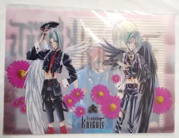 (미개봉) 클리어 파일 드래곤 기사단 오시아게 미네코 월간 윙스