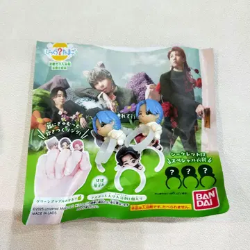 미세스 Mrs. GREEN APPLE 빗쿠라타마고 후지사와 료카 시크릿