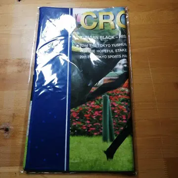 미개봉 새상품 크루아 드 노르 극세사 타월 경마