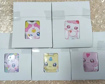 피타하그 푸치큐아 5종 세트 2