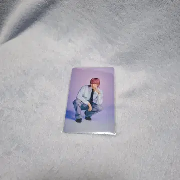 스파도라 시바사키 라쿠 스타토레(No00033)