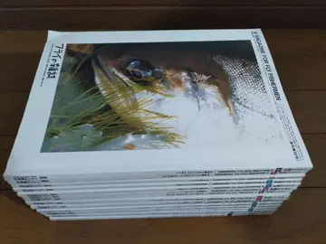 플라이 잡지, 16권