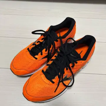 최종 가격 인하 미즈노 웨이브 라이더