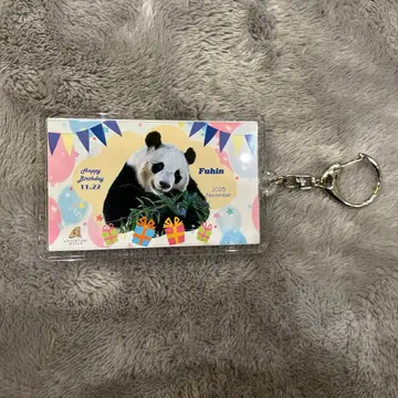 어드벤처 월드 팬더 한정판 키링 후우힌 벌스데이