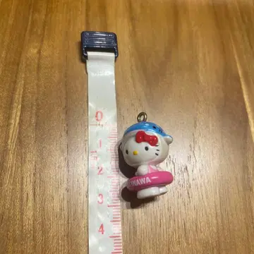 지역 한정 키티 오키나와 한정 진베이 상어 레어