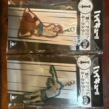 하이큐!! 아크릴 키링 2개 세트