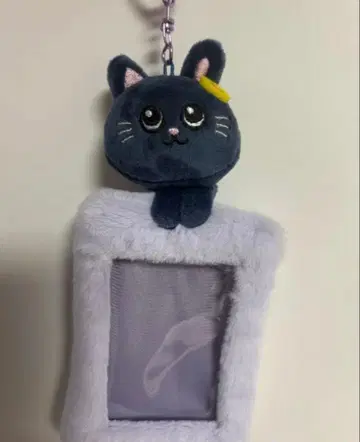 RIIZE 원빈 냥덕 트레이딩 카드 케이스 홀더 MD