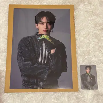 TJBB 후루시마 타키 TAKI Let's Dance 라쿠텐 세트