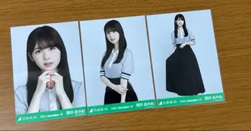 노기자카46 츠츠이 아야메 2024년 9월 IV 폴로 니트 컴프