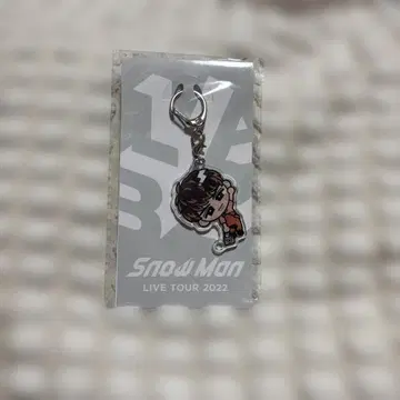 Snow Man LIVE TOUR 2022 무카이 코지 아크릴 키링