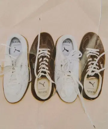 PUMA x Ameri PALERMO MODA 브라운