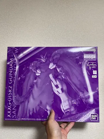 MG 1/100 건담 산드로크 개조 EW