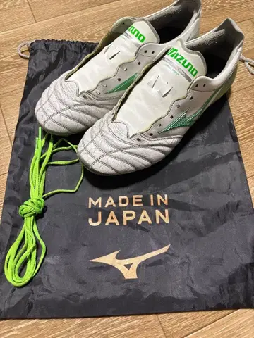 모렐리아 네오 4 한정 컬러