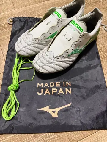 모렐리아 네오 4 한정 컬러