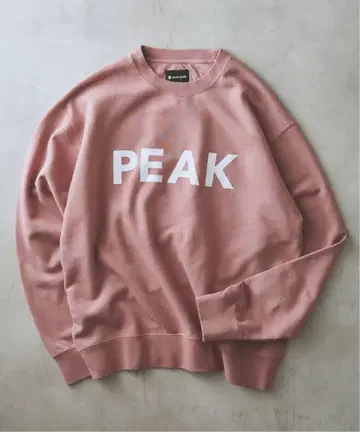 저널 스탠다드 리룸 SNOWPEAK 별주 맨투맨