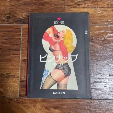 핀업 TASCHEN